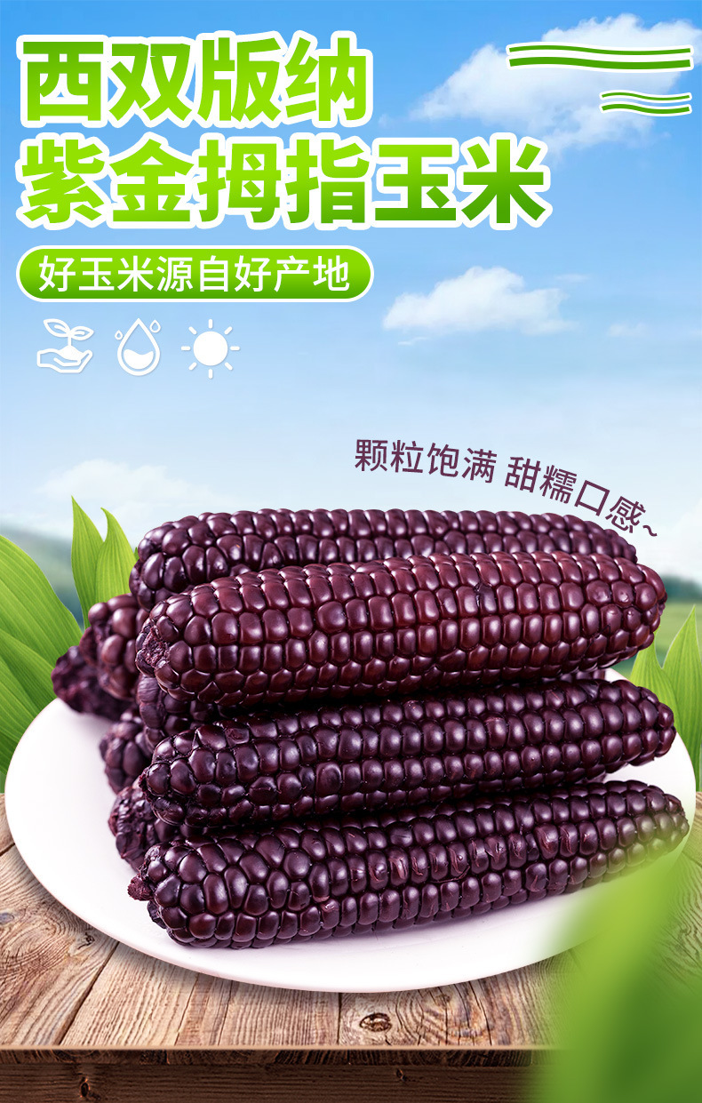 3c34ae4575541c8b9cd7d65e5d2a91b2_O1CN01859ul71UDGLSZ16Nl_!!2217144322483-0-cib.jpg